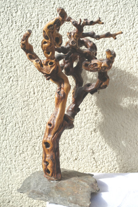 Der Geist des Weines